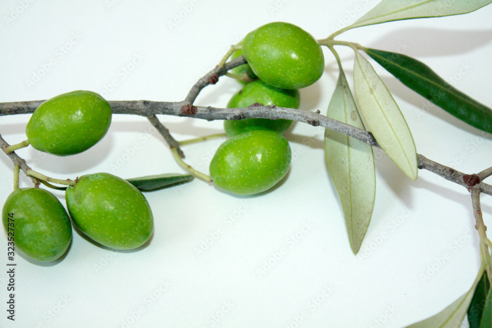 Olive branch with green olives isolated on white background.