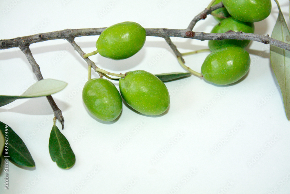 Olive branch with green olives isolated on white background.