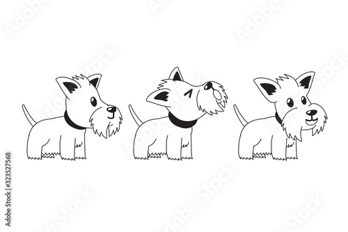 Set of cartoon character scottish terrier dog poses for design.