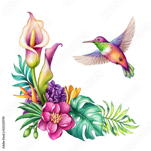 Photo digital watercolor botanical illustration, flying humming bird, wild tropical flowers isolated on white background