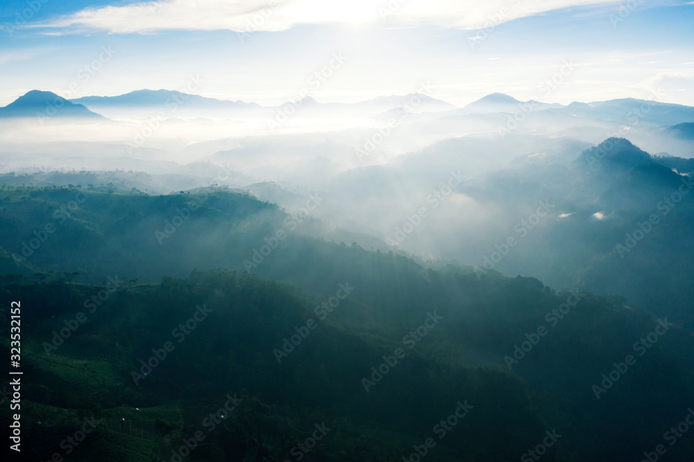 Fototapeta premium Aerial view of sunrise with tea plantation and fog