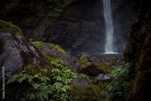 Beautiful nature gorge background with rocks stones plants and waterfall on dark background on Bali Sekumpul waterfall