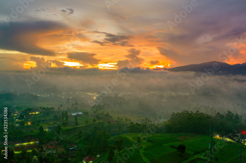 Landscape of plantation and village with fog