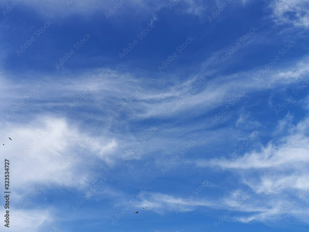 Sunny day, bright blue sky with clouds and bird in flight - background for design, decoration or wallpaper