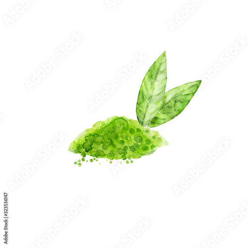 Matcha powder and green tea leaves