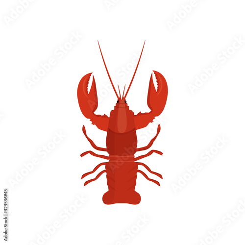 Lobster cancer illustration in vector