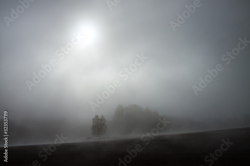 sun - a foggy cold day