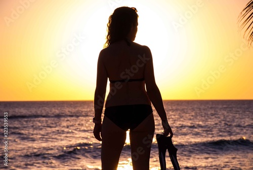 Bild auf Leinwand A silhouette shot of a lady on a tropical beach next to a palm tree with fins in her hand
