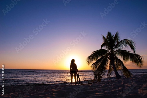 Valokuva A silhouette shot of a lady on a tropical beach next to a palm tree with fins in her hand