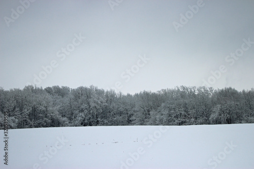 winter rural landscape with snowy trees and snow
