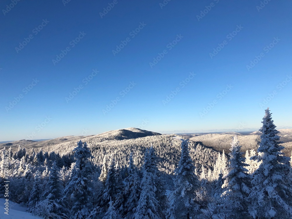 Winter Mountain view