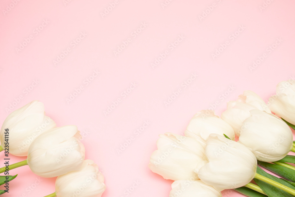 Spring background! Bouquet of white tulips on a pink background. Holiday Greeting Card for Valentine's Day, Women's Day, Mother's Day, Easter! Spring background! Bouquet of white tulips on a pink background. Holiday Greeting Card for Valentine's Day, Women's Day, Mother's Day, Easter!