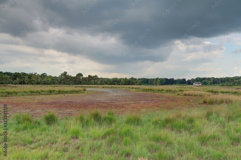 parc national de Zoom-Kalmthoutse Heide parc national de Zoom-Kalmthoutse Heide