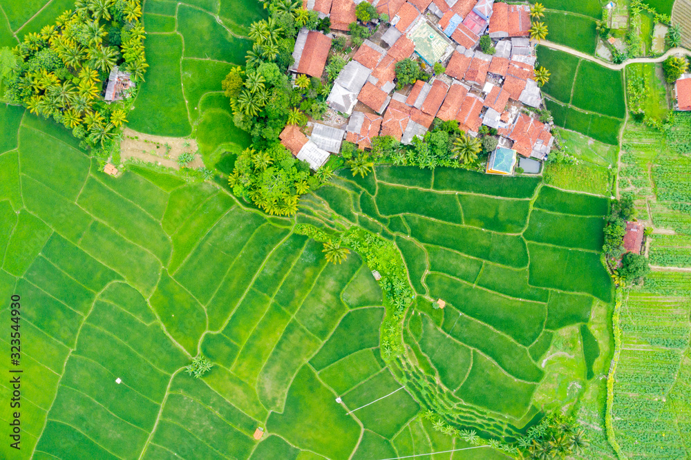 Obraz premium Top down view of village and green paddy field