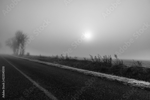 foggy road with icy grass ans sun with clouds © Magdalena