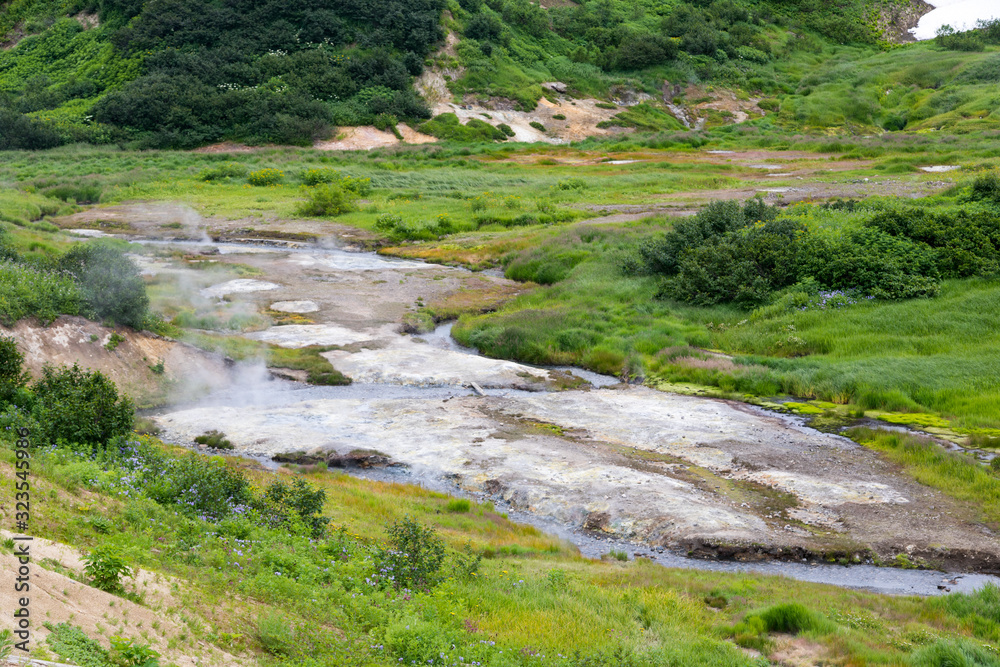 Small Valley of Geysers, Kamchatka Peninsula, Russia. This is a unique active fumarole field, the hot gases of which pass through the water of a cold stream, heating it and creating a gushing effect.