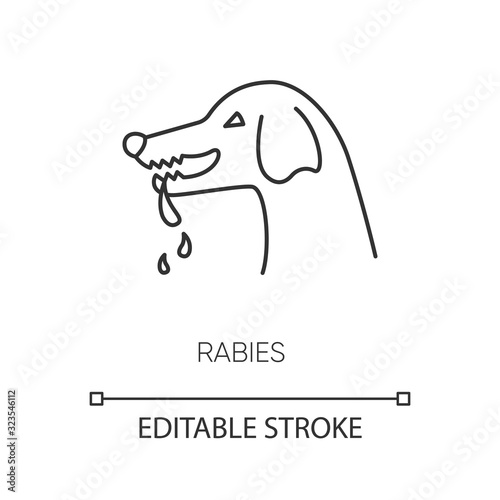 Rabies pixel perfect linear icon. Thin line customizable illustration. Dangerous viral disease, central nervous system infection contour symbol. Vector isolated outline drawing. Editable stroke
