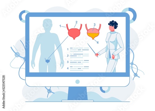 Studying Human Bladder Anatomy Flat Illustration