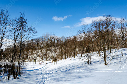 Winter walking trails in a rural park