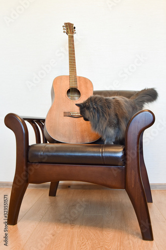 Acoustic guitar, vintage leather armchair and grey cat
