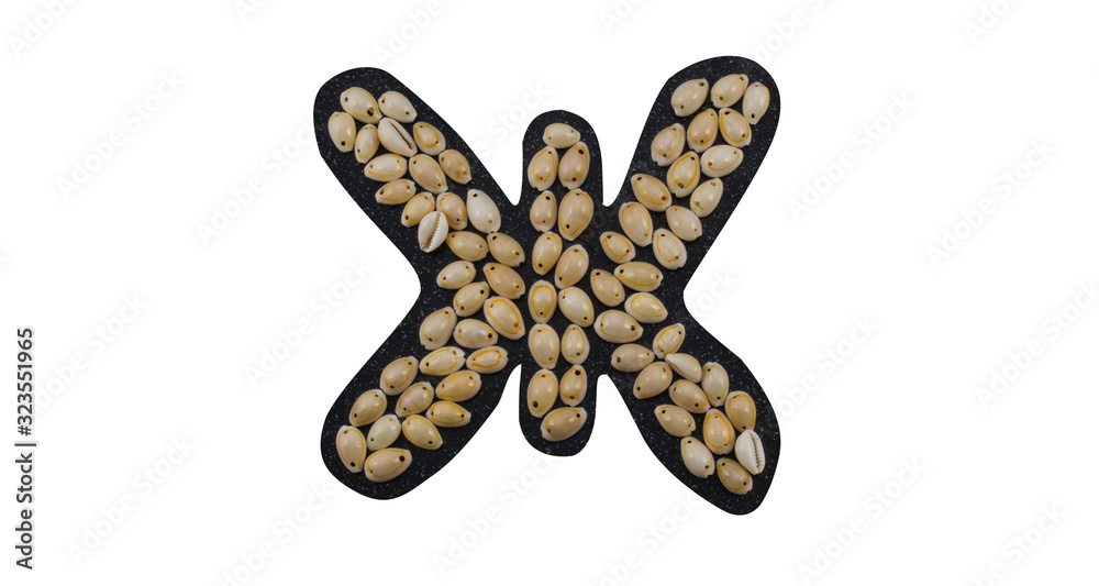 Isolated Font Russian Letter Ж made of seashell on black granite on white background Isolated Font Russian Letter Ж made of seashell on black granite on white background