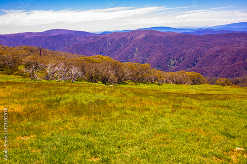 A grassy plain with a mountain view in the mountains