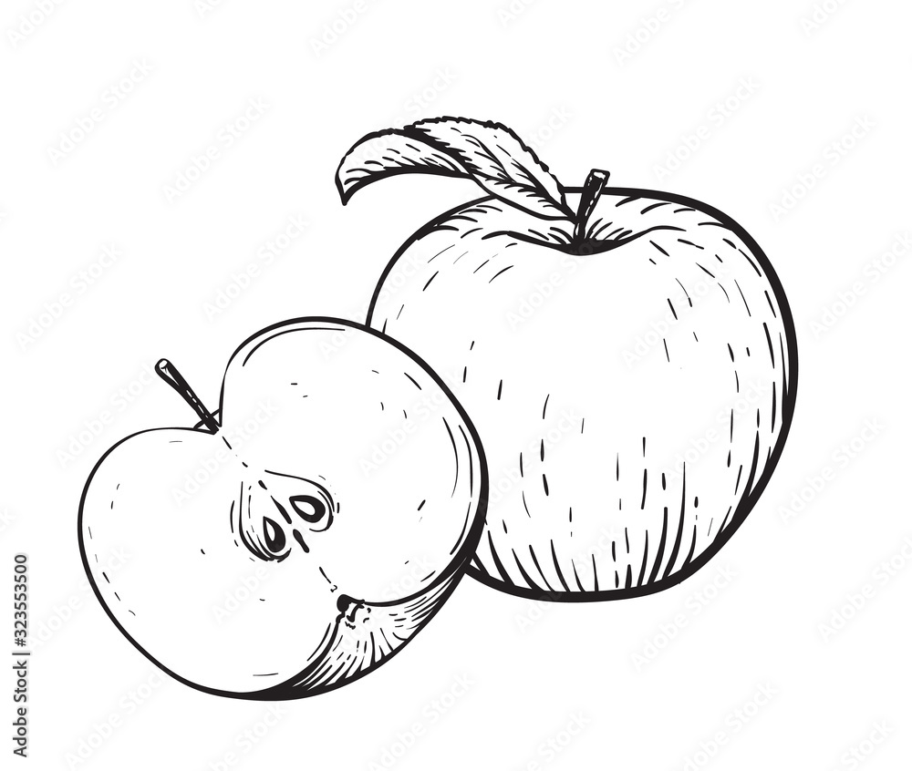 Apple Drawing Vector Art, Icons, and Graphics for Free Download