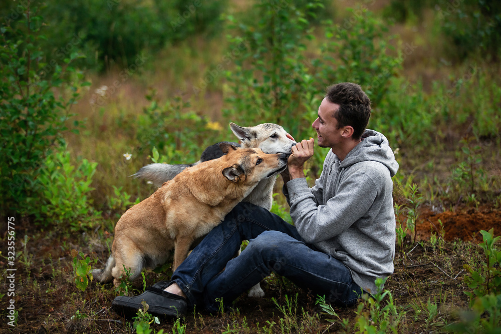Cheerful man playing with dogs on meadow Cheerful man playing with dogs on meadow