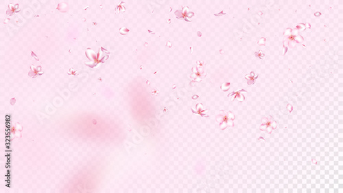 Nice Sakura Blossom Isolated Vector. Tender Blowing 3d Petals Wedding Paper. Japanese Funky Flowers Wallpaper. Valentine, Mother's Day Realistic Nice Sakura Blossom Isolated on Rose