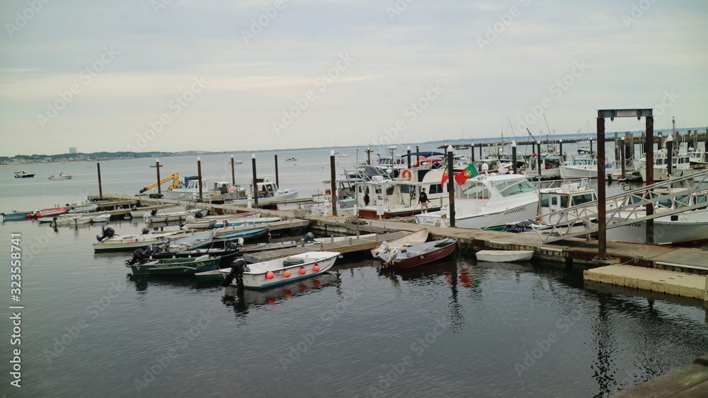 Fototapeta premium dock