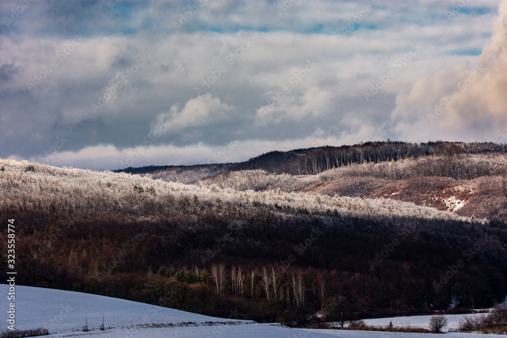  winter landscape