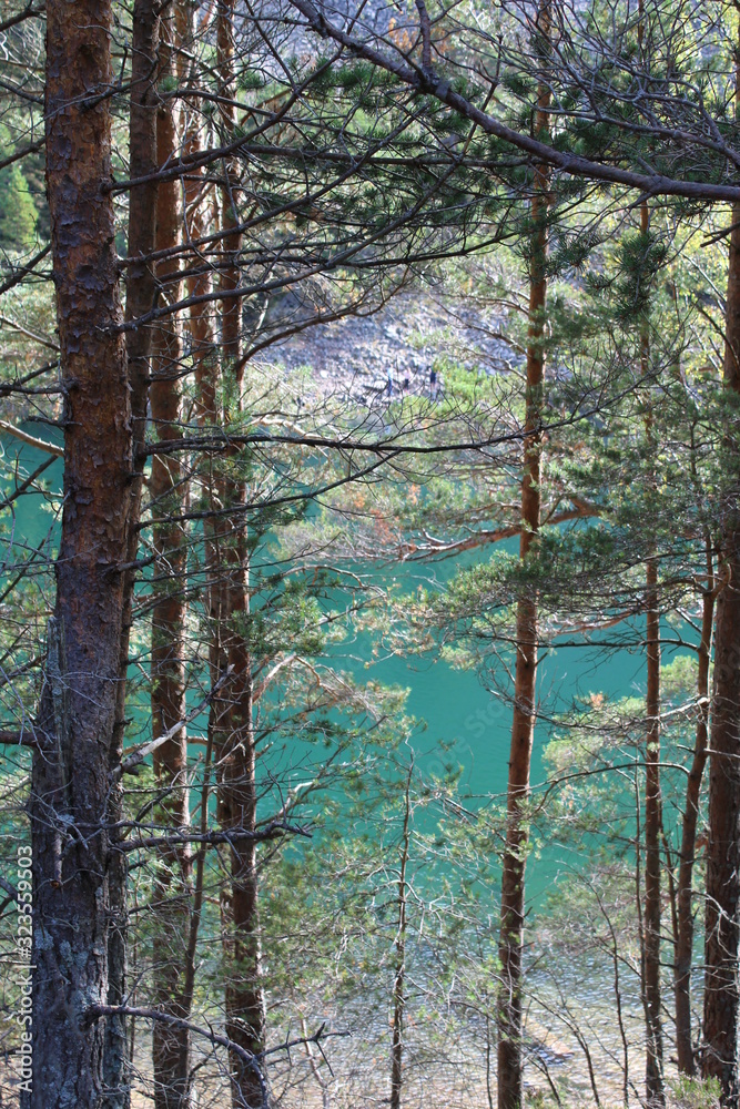 Fototapeta premium green lake