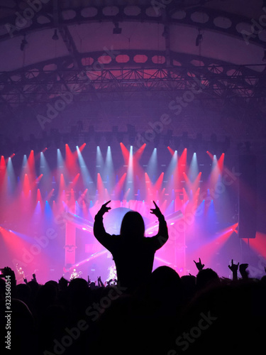 Concert Fans