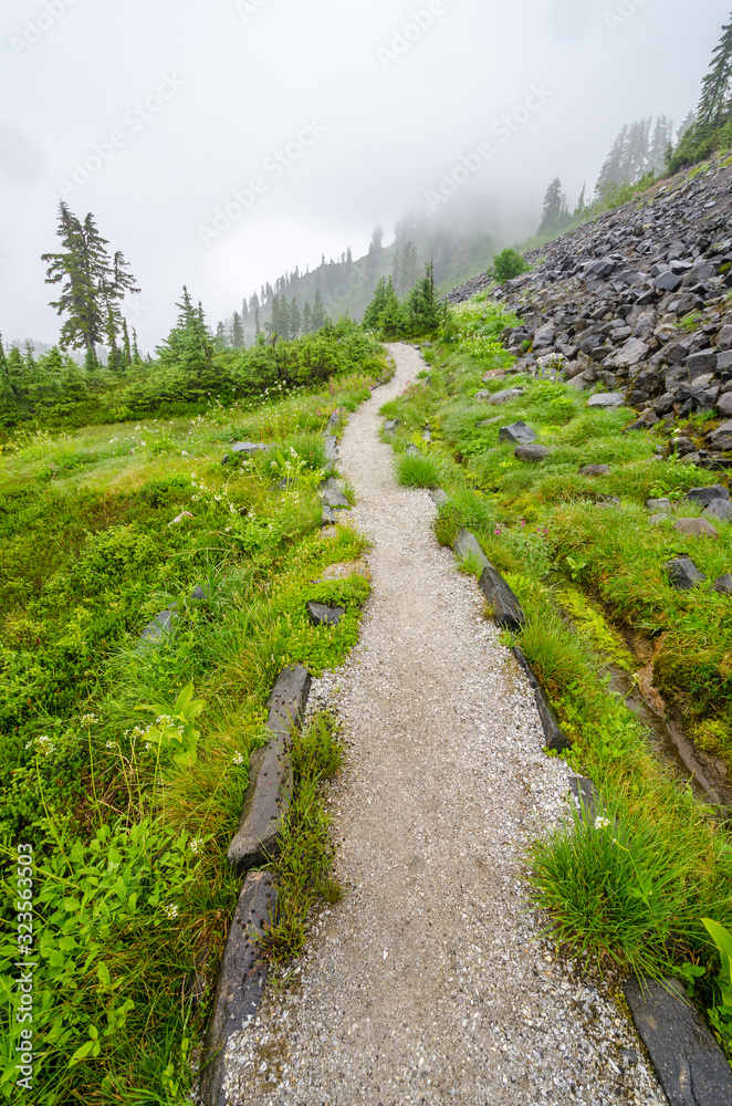 Fragment of foggy and rainy Bagley Lakes Trail at Mount Baker Park in Washington, USA