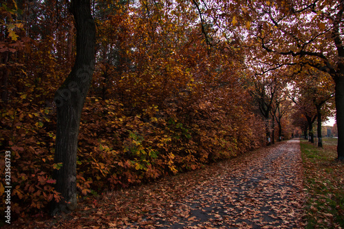 cycle path in autumn
