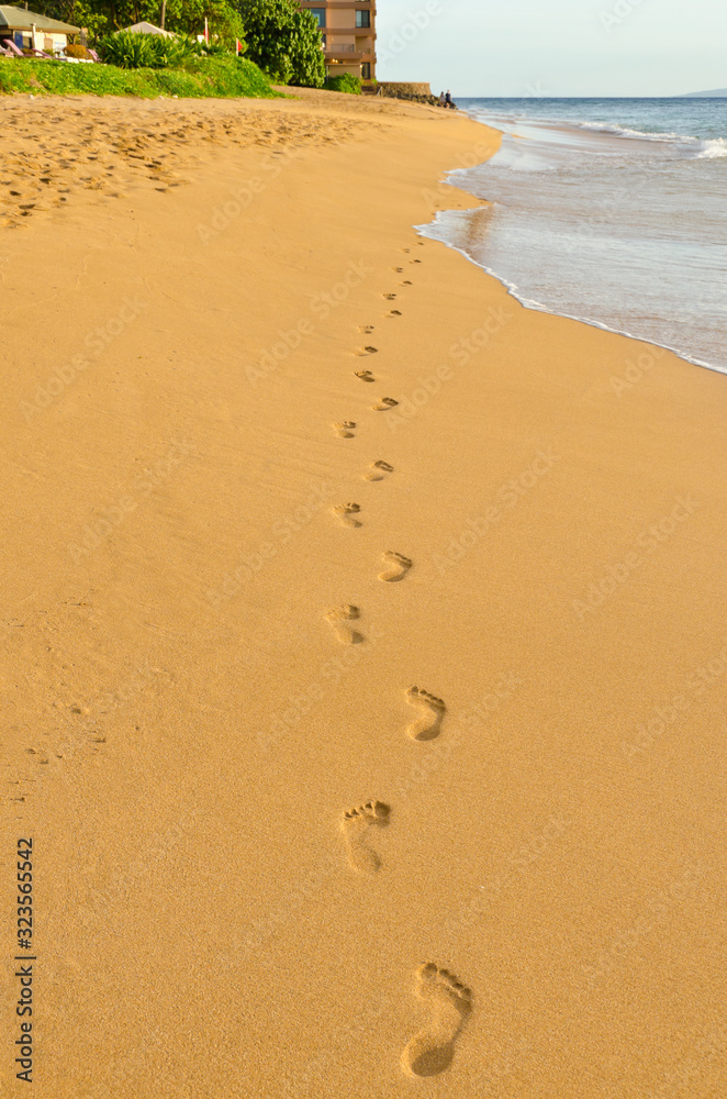 Human footprints leading away from the viewer Human footprints leading away from the viewer