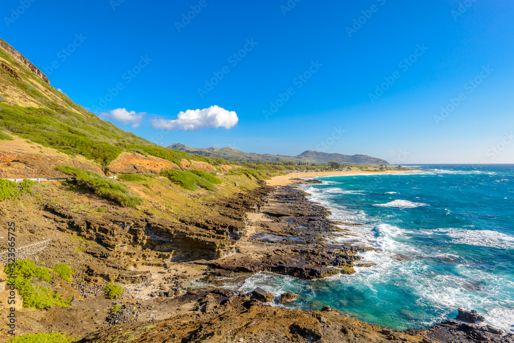 On rocky ocean coast.