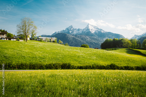 Idyllic landscape in the Alps with blooming meadows in springtime © JFL Photography
