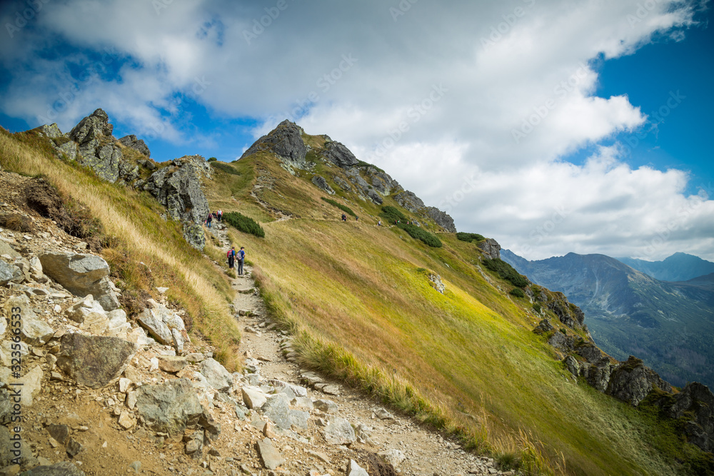 Fototapeta premium Mountain background