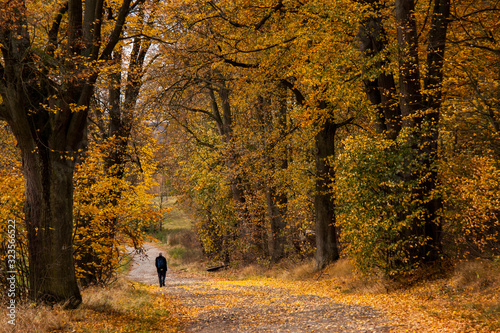 the hiker in autumn - homage to Caspar David Freidrich