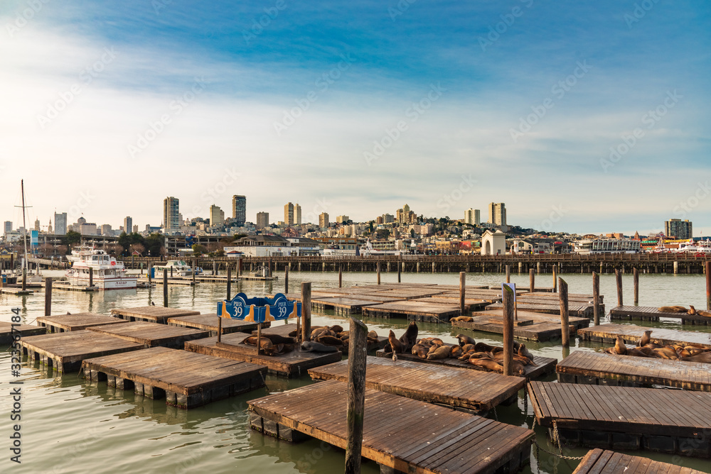 View of San Francisco Bay from the Pier 39