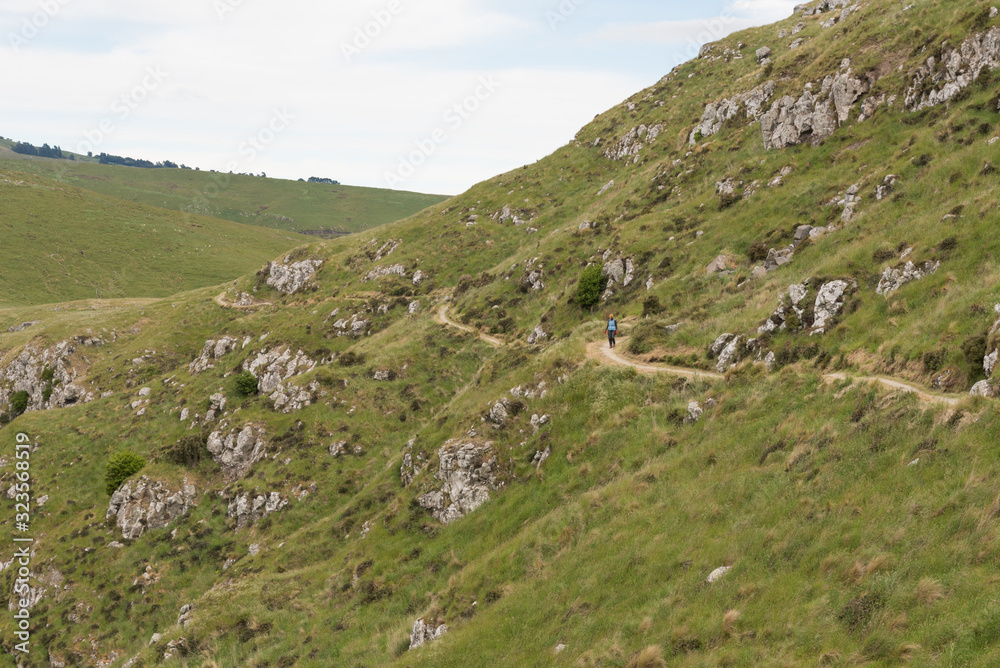 The Breeze Bay section of the Awaroa/Godley Head Loop Track. Godley Head, Canterbury, New Zealand. The Breeze Bay section of the Awaroa/Godley Head Loop Track. Godley Head, Canterbury, New Zealand.