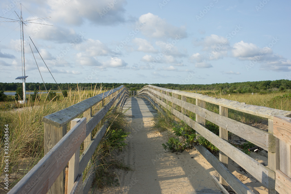 Boardwalk in South Cape Beach Wetlands