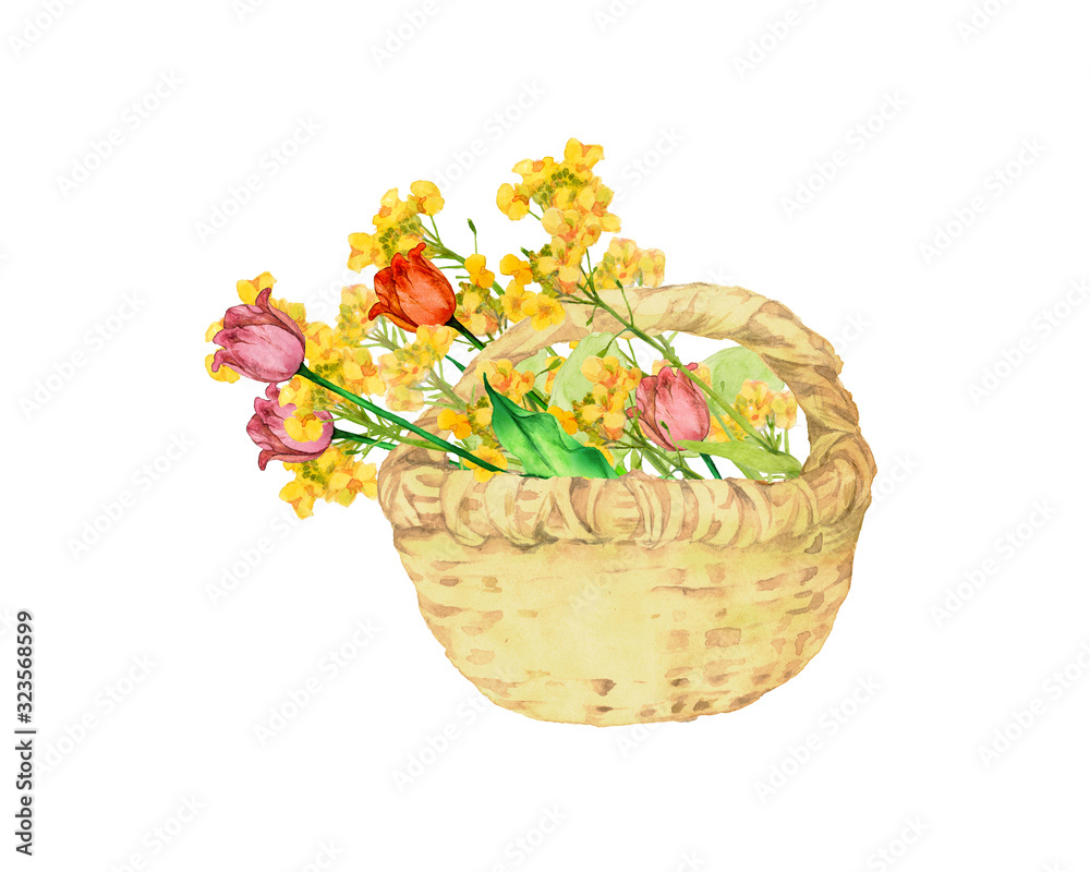 チューリップと菜の花