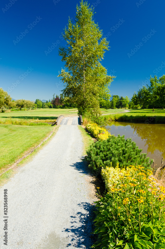 Golf course with gorgeous green and pond.