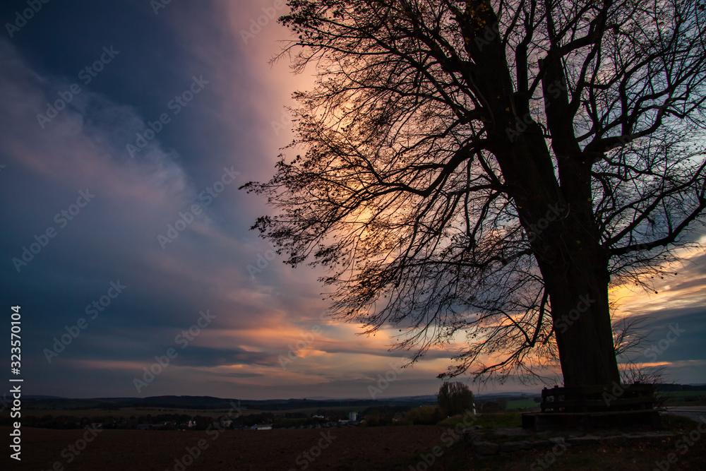 Naklejka premium clouds and tree - beautiful landscape