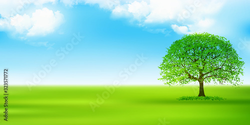 空　草原　風景　背景