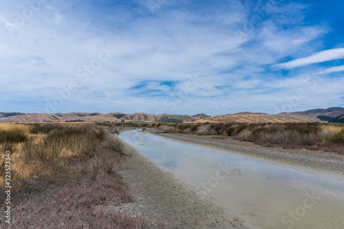 The dry river during summer