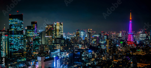 Canvas Print Night view of TOKYO JAPAN