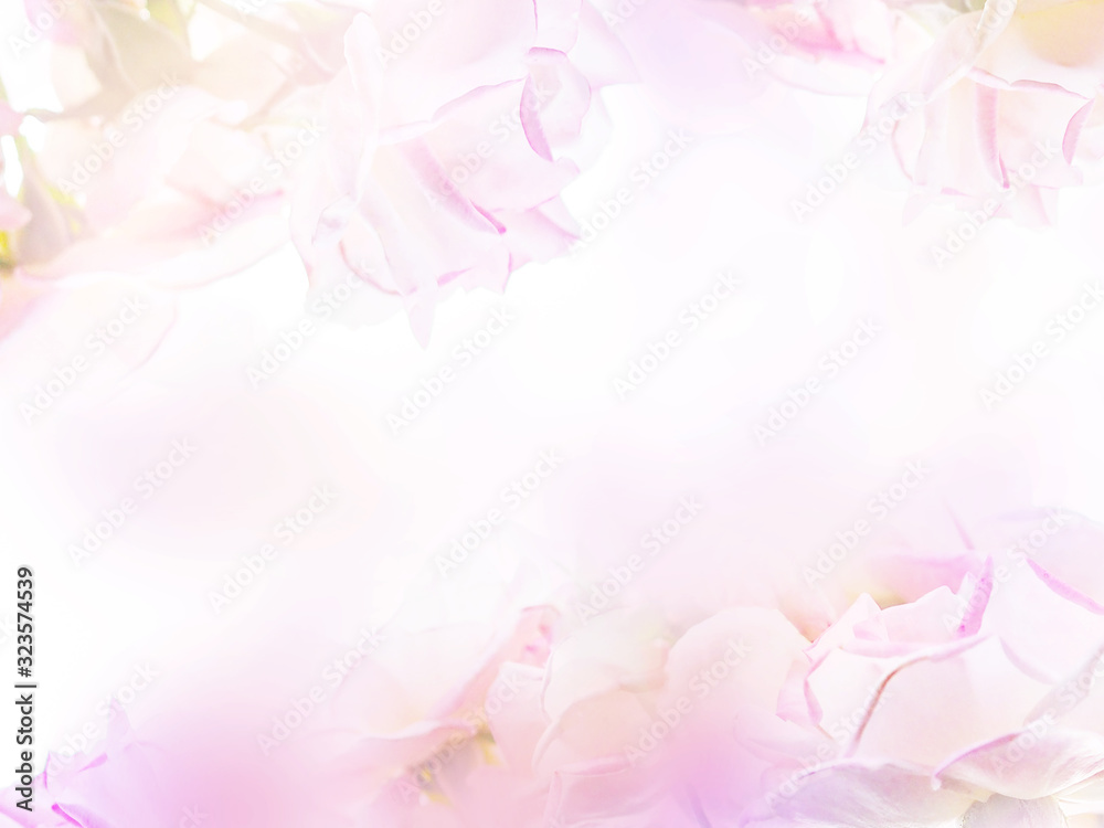 Abstract floral backdrop of purple flowers with soft style.